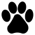 huella-gato